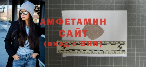 индика Вяземский