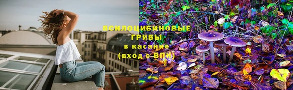 прущие крисы Вязники